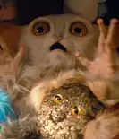 The Meep